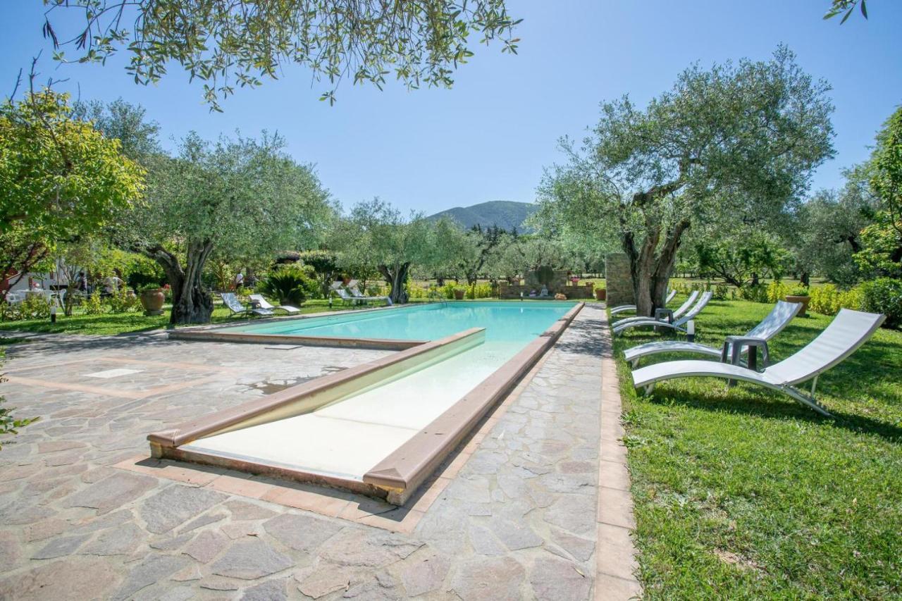Agriturismo Buen Camino Scarlino Exterior foto